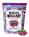 Wiley Wallaby 10 Ounce Blasted Berry Gourmet Australian Style Soft & Chewy Licorice Candy Twists