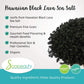 Hawaiian Black Sea Salt | 100% Natural | Great Gourmet Finishing Salt & Perfect For Professional Skin, Hair & Bath Cosmetics | F