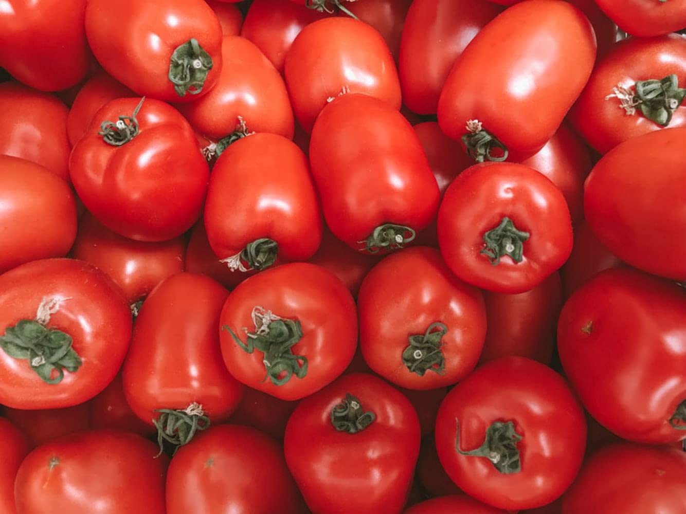Bianco Dinapoli - Tomatoes Crushd Puree - Case Of 6-28 Oz
