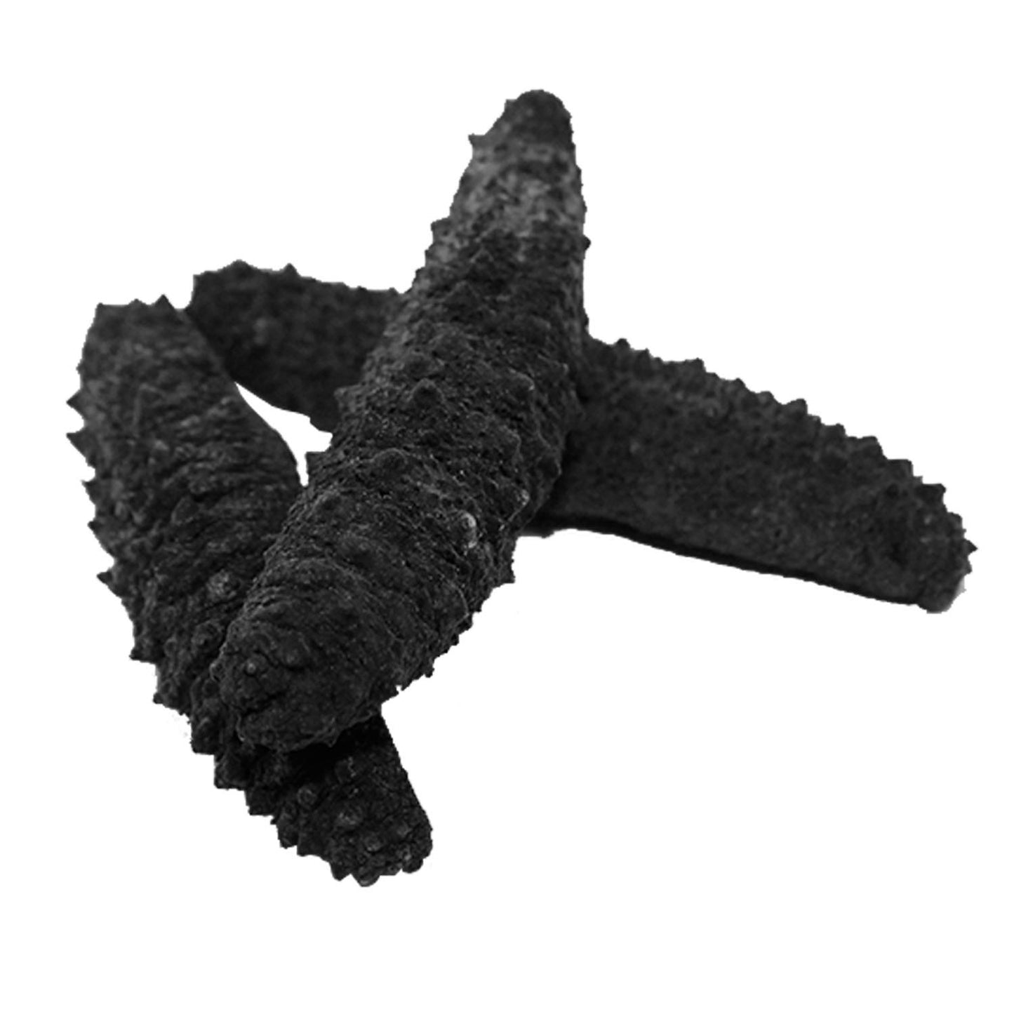 DABC OAK LAND Wild Caught Sun Dried Atlantic Black Sea Cucumber, 30-40pcs, Large 8oz Box, All Natural Nutritious海参