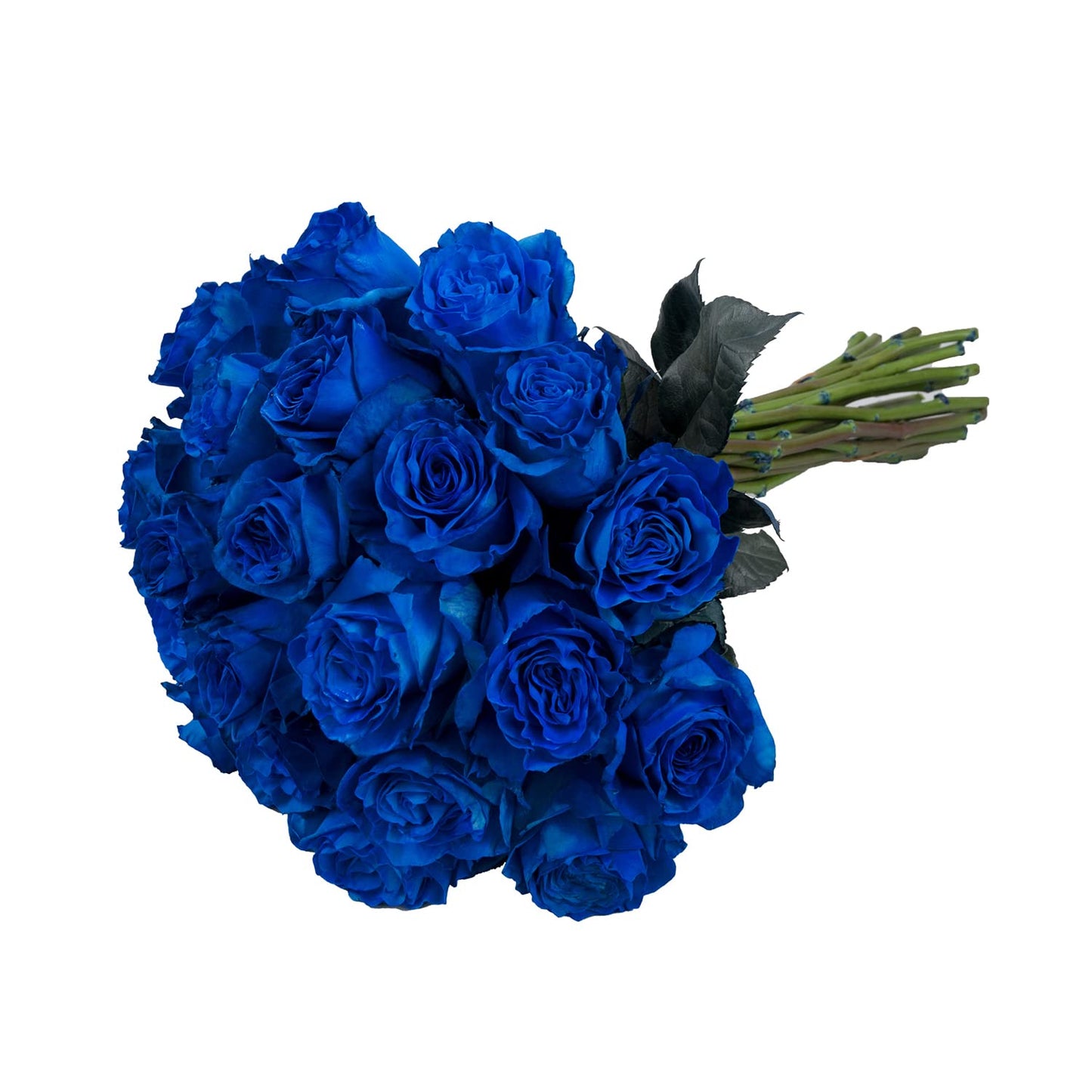 Bloomingmore | Farm Fresh | Natural Tinted Blue Roses | 100 Stems - 20 In | Home, Office, Wedding Decor, Diy, Party Event, House