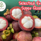 Premium Whole Freeze Dried Tropical Fruits,100% Fruits, Natural 70G (2.5 Oz), Nothing Else Added. (Mangosteen)