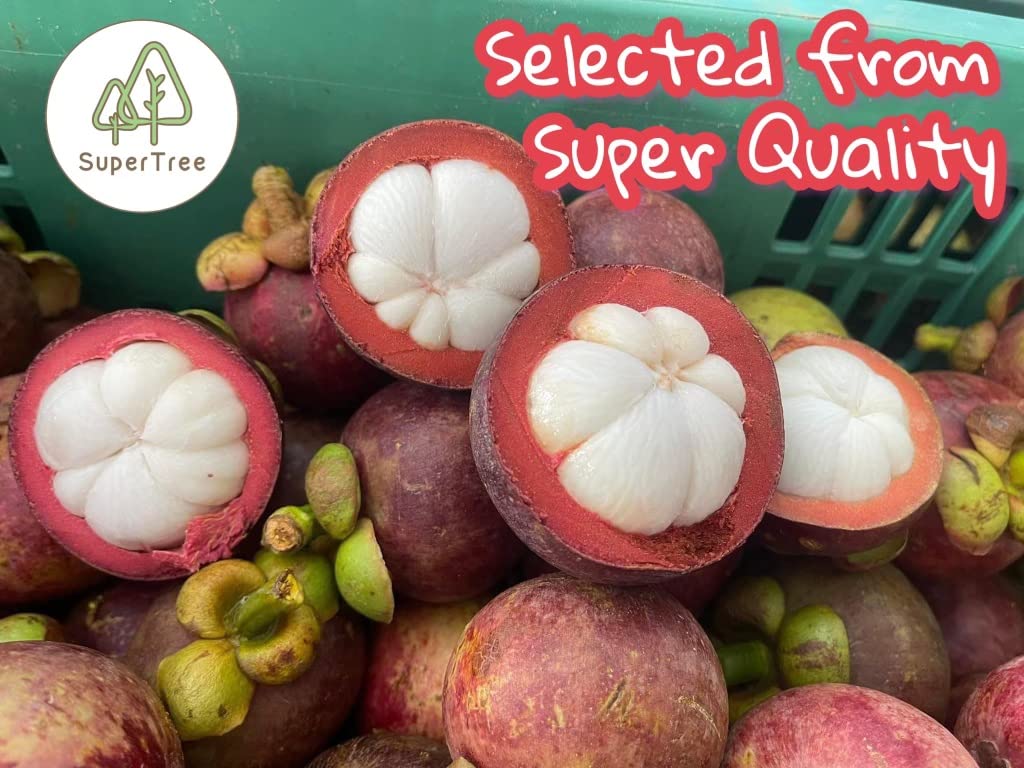Premium Whole Freeze Dried Tropical Fruits,100% Fruits, Natural 70G (2.5 Oz), Nothing Else Added. (Mangosteen)