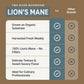 Two River Lions Mane Mushroom Broth made with organic Lions Mane and Shiitake Mushrooms, vegan plus adaptogens, perfect for si