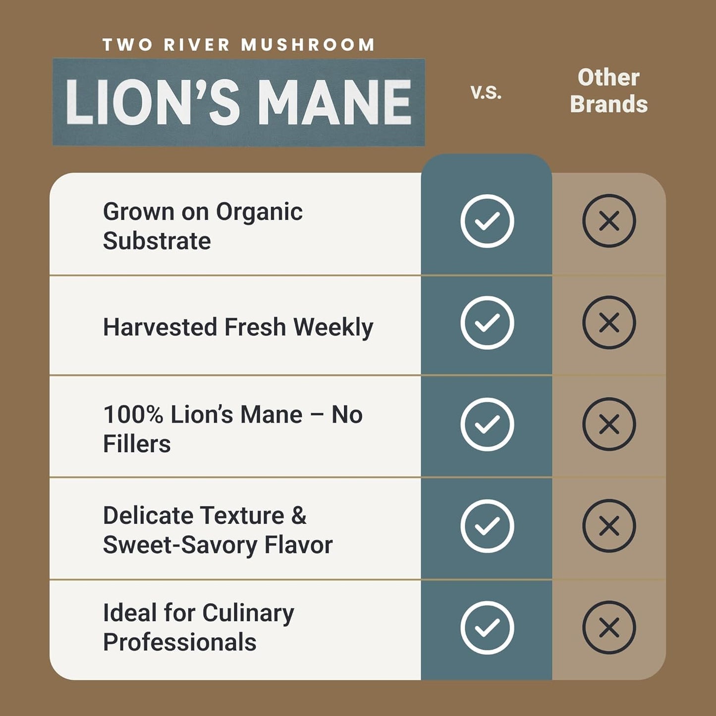 Two River Lions Mane Mushroom Broth made with organic Lions Mane and Shiitake Mushrooms, vegan plus adaptogens, perfect for si