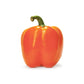 Orange Bell Pepper