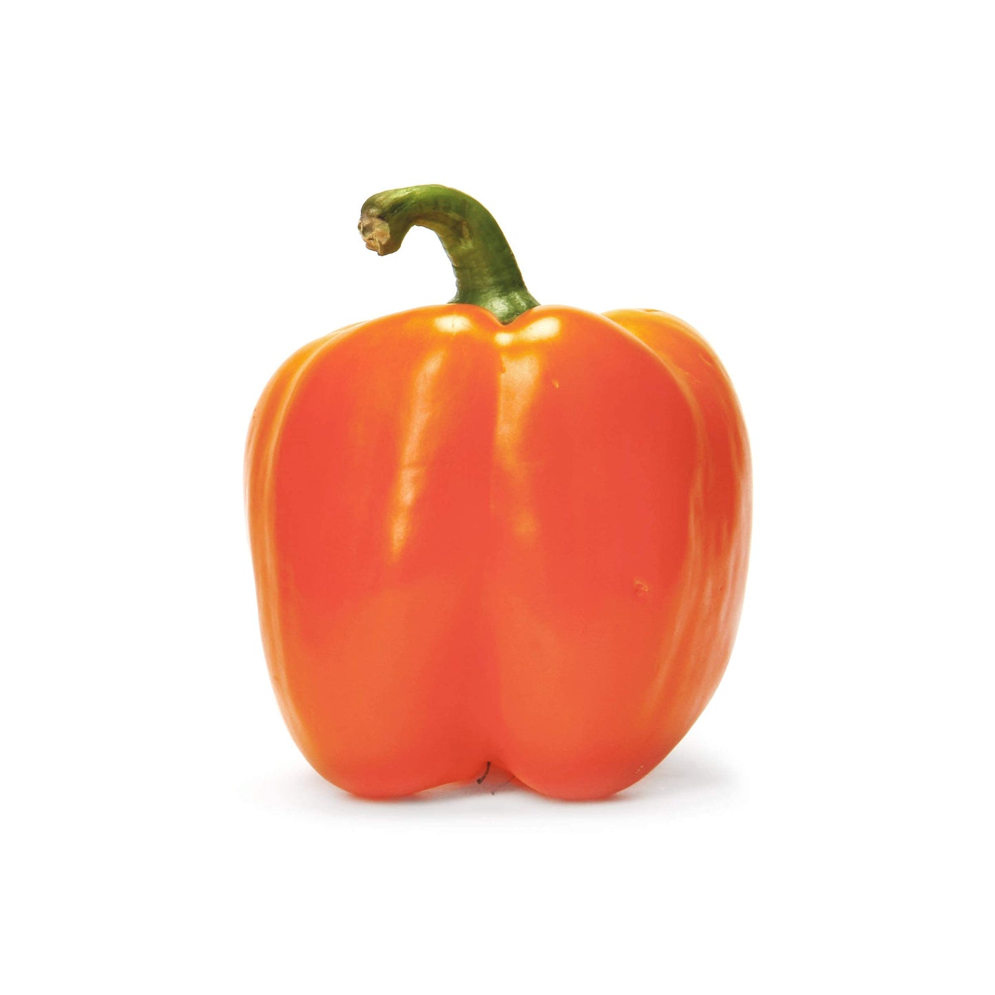 Orange Bell Pepper