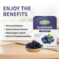 Frenature Freeze Dried Blueberry, Canada Top Grade Dried Blueberries No Sugar Added, 100% Natural Freeze Dried Fruit, Healthy Sn