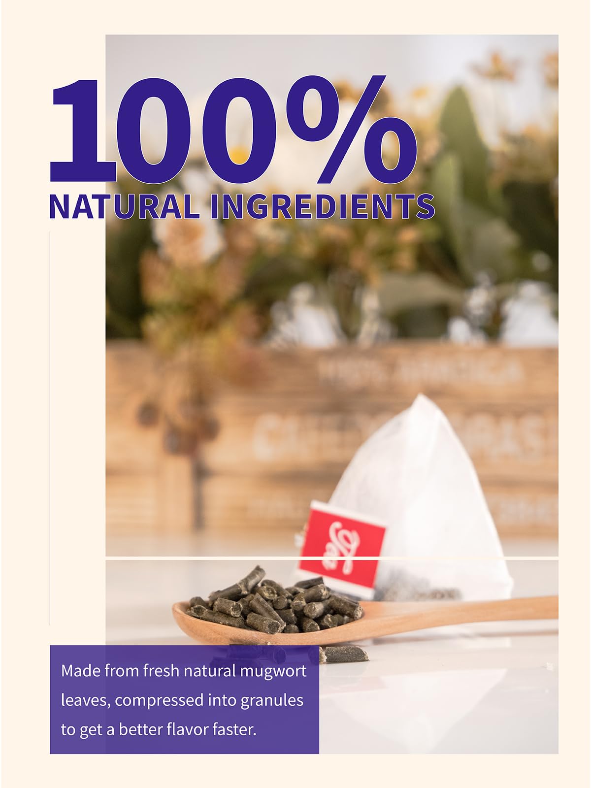 TeeLux Mugwort Tea Bags - Natural Dried Herbal Tea, Caffeine Free, 40 Count