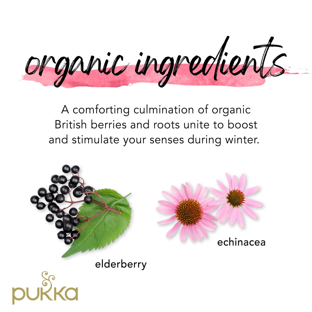 Pukka Organic Elderberry And Echinacea With Elderflower 20 Tea Bags (Pack Of 4)