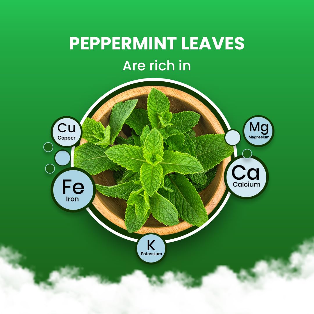 BLUE TEA Peppermint Herbal Tea Bags - Caffeine Free, Antioxidant Rich, 100 Count, Fresh Minty Flavor, Plant Based, Ziplock Pack