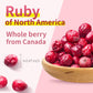 Frenature Freeze Dried Cranberries, Natural Freeze Dried Fruits, Canada Whole Dried Cranberries, Camping Food & Healthy Snacks,