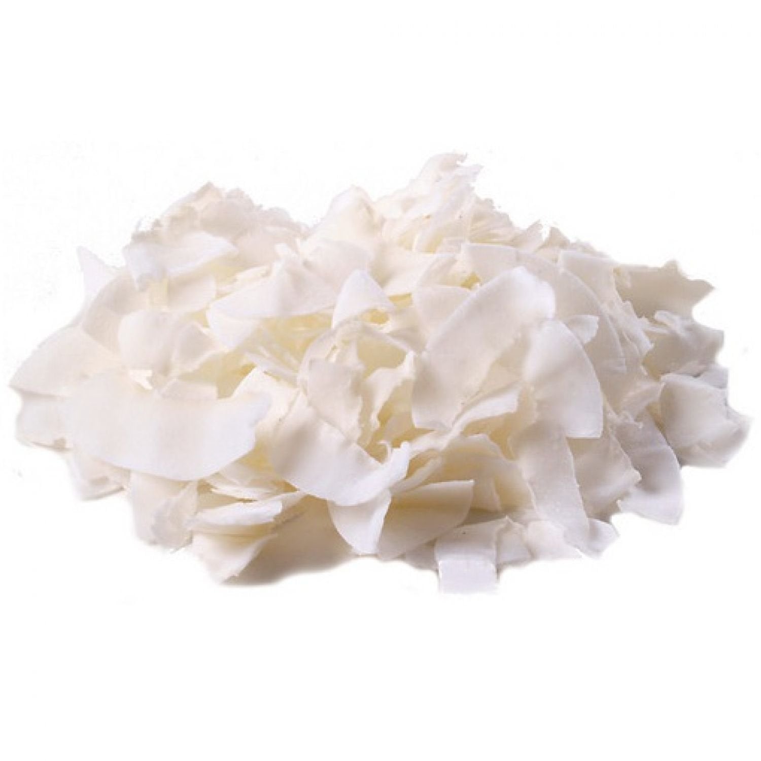 Dried Fruit Bg12209 Dried Fruit Wide Chip Coconut - 1X25Lb