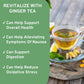 HANDPICK Ginger Tea Bags - 100 Herbal Teabags, Authentic Indian, Caffeine Free, Eco-Conscious, Soothing & Spicy Blend