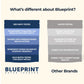 Blueprint by Bryan Johnson Vegan Protein Meal Replacement - Plant Based Hemp Protein with 27g Protein Per Serving - Low Calorie  Chai Flavored Protein for Women & Men - Dairy Free- 15 Servings
