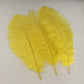 Londgen 10Pcs Natural Ostrich Feathers Plumes 14-16Inch(35-40Cm) For Craft Flower Arrangement Wedding Decoration And Halloween P