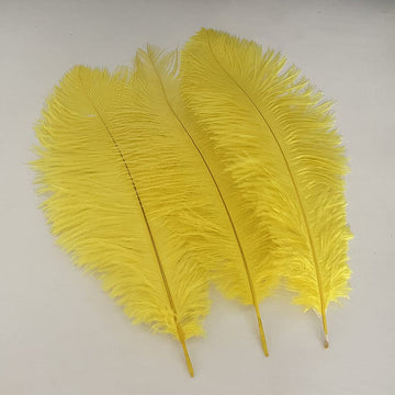 Londgen 10Pcs Natural Ostrich Feathers Plumes 14-16Inch(35-40Cm) For Craft Flower Arrangement Wedding Decoration And Halloween P