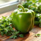 Organic Green Bell Pepper