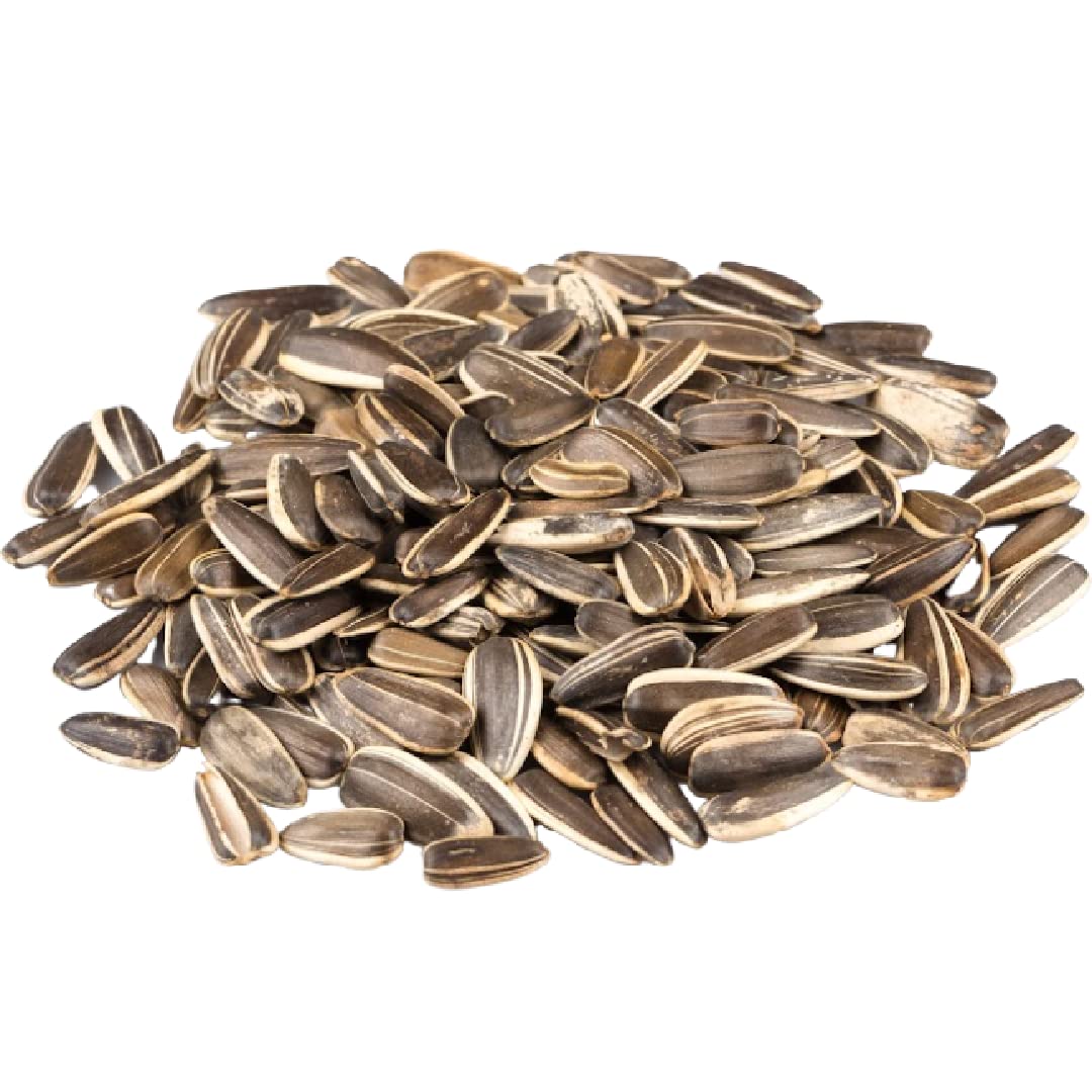 Jumbo Lightly Sea Salted Sunflower Seeds By Gerbs - 2 Lbs. - Top 14 Food Allergen Free & Non Gmo - Vegan, Keto Safe, Kosher - Grown In Usa