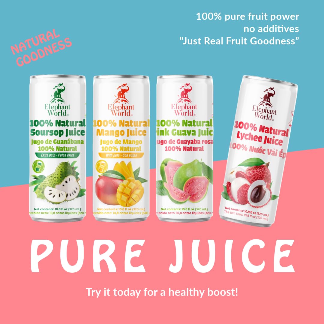 Elephant World 100% Natural Soursop Guanabana Juice 10.8 oz (Pack of 12), Soursop