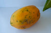 Fresh Delicious Red Papaya by RawJoy Farms, 1 Pound