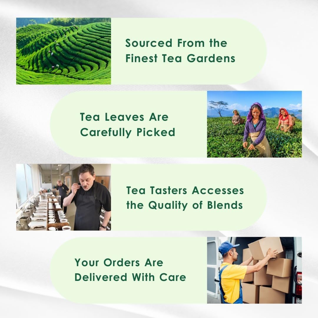 Tea Leaf & Co. Classic Green Tea Loose Leaf - 100% Organic - Low Caffeine - 50 Servings - 3.52oz/100gm