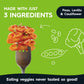 Veggiecraft Farms Variety Pack Penne Pasta - New Better Taste - Gluten Free Pasta, Plant Based Penne Pasta, Sweet Potato, Caulif
