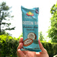 Amrita Vegan Protein Bars - Chocolate Chip Coconut, 15g Protein, Gluten & Soy Free, 12 Count (Pack of 3)