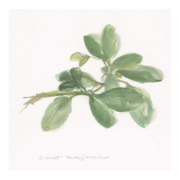 Sweet Marjoram -Paper Art-20''X20''
