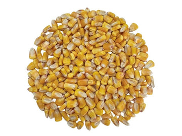 Yellow Corn (Ma?Z Amarillo) - 10Lb  Dried Whole Kernels