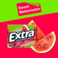 Extra Chewing Gum - Wrigleys Extra Fruit Sensations Sweet Watermelon, Sugar Free, 15 Count