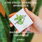 SIMPLY Gum Spearmint, Plastic-Free Natural Chewing Gum, 6 Pack (90 Pieces) | Vegan, Kosher, Non GMO, Aspartame Free and Sorbitol