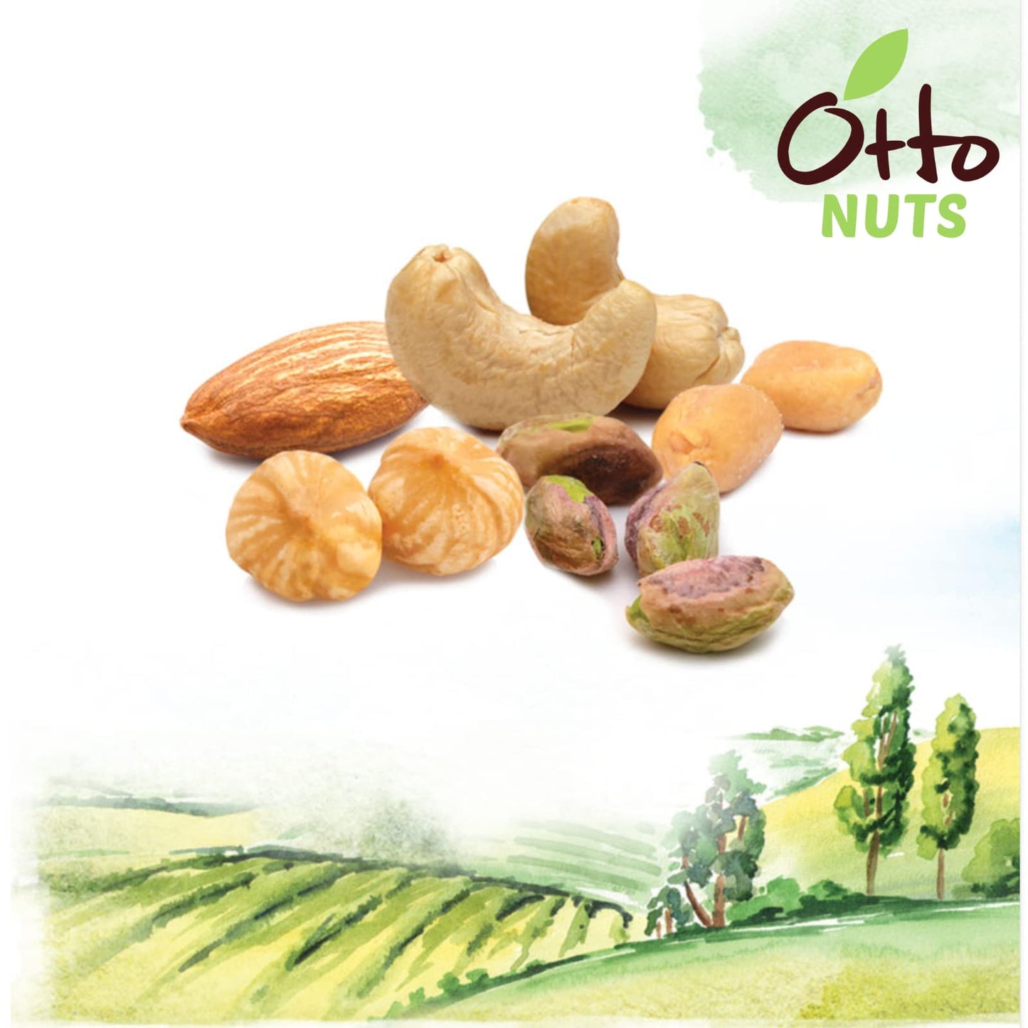 Otto Nuts - Mediterranean Dry Roasted Nut Mix with Sea Salt, Non-GMO Naturally Vegan Snack, Mixed Nuts | 5.5 OZ with Resealable