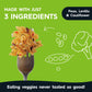 Veggiecraft Farms Rotini Pasta - NEW IMPROVED RECIPE - Protein Pasta, Lentil Pasta w/Cauliflower & Peas, High Protein Noodles, L