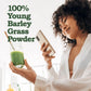 Golden Aojiru Original - Young Barley Green Grass Juice Powder for Smoothies and Drinks, 100% Japanese Grown - Ready-to-Use 0.1