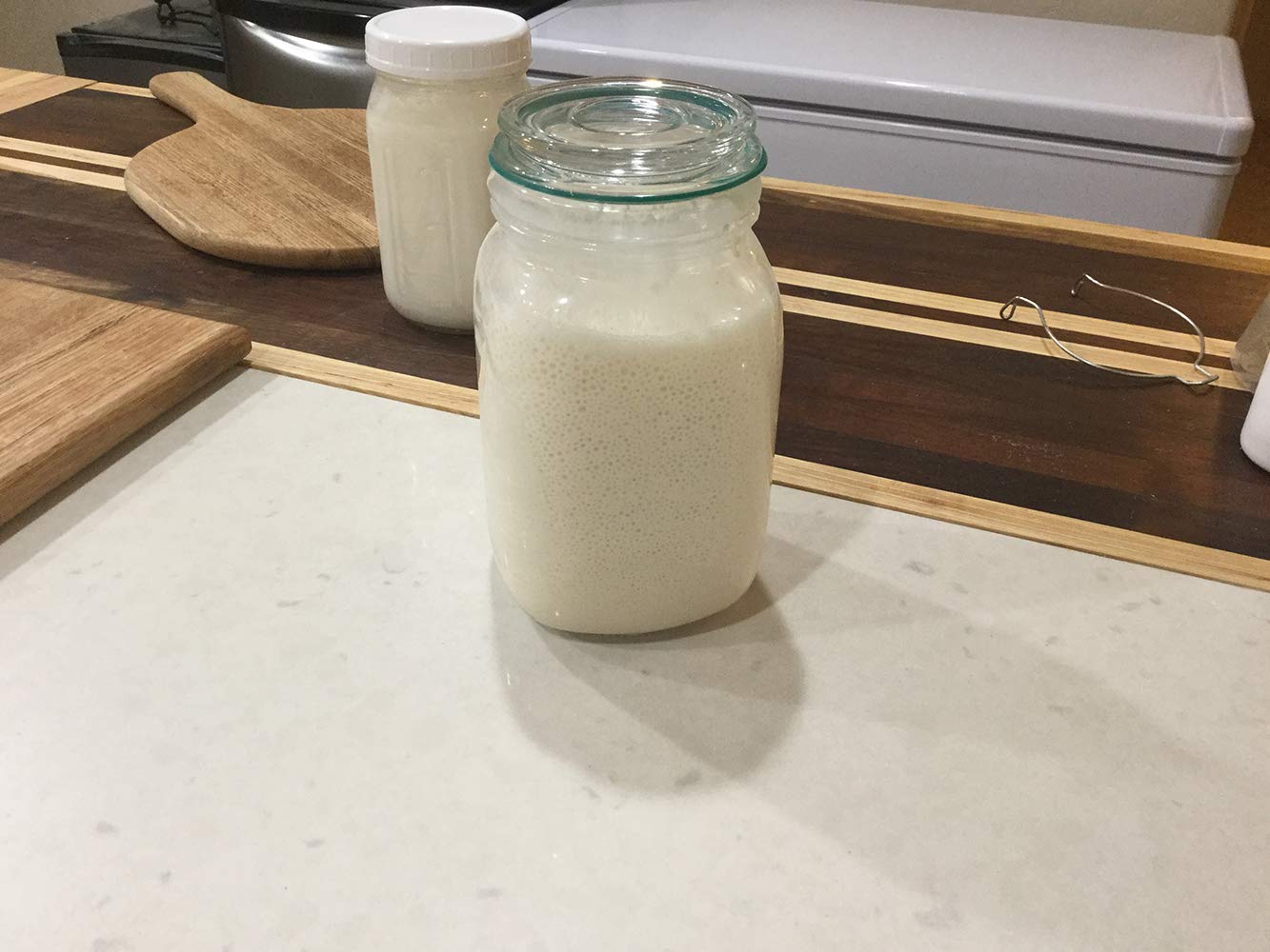 San Francisco Sourdough Starter Genuine Original San Francisco Culture with Easy Foolproof Recipe. True Original Organic San Fra