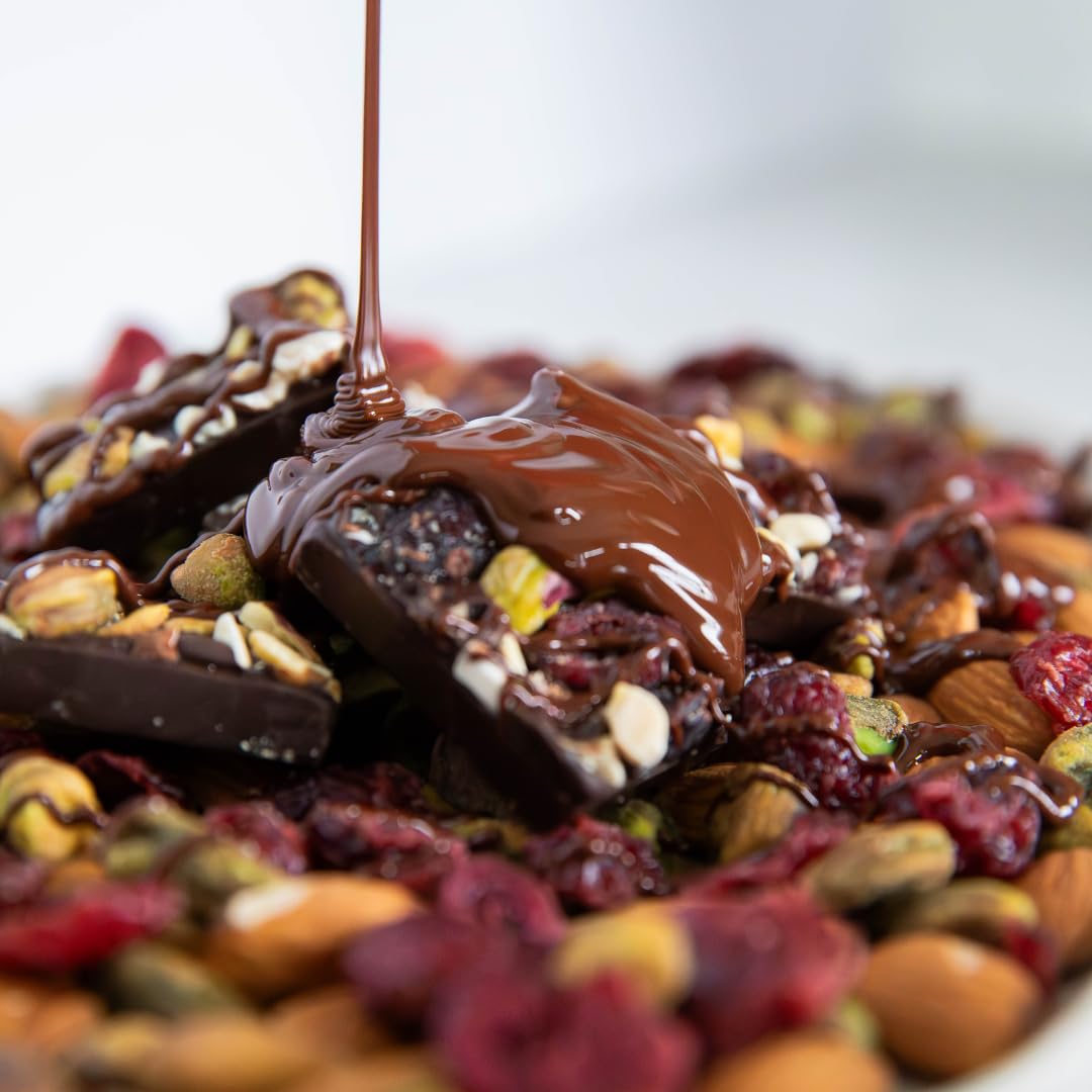 JOJOs Dark Chocolate Pistachio Almond Cranberry Snack, Low Sugar, Gluten Free, Vegan, 15.6 Ounce (Pack of 1)
