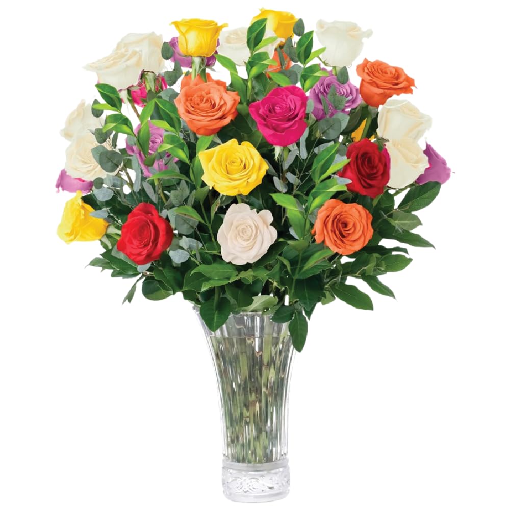 Aquarossa Farms - 24 Assorted Roses, Fresh Flowers for Delivery, Flowers Fresh Bouquet, Gift Idea for Graduation, Birthday, Anni