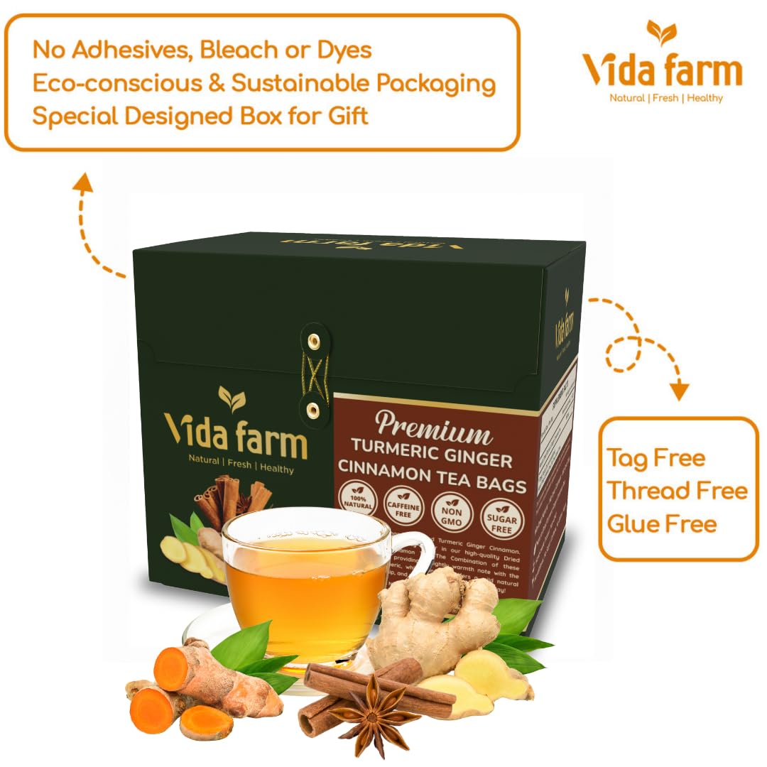 VIDA FARM Turmeric Ginger Cinnamon Tea Bags, 100% Pure & Natural, Non-GMO, Gluten-Free, Vegan, 100 Tea Bags, Yellow