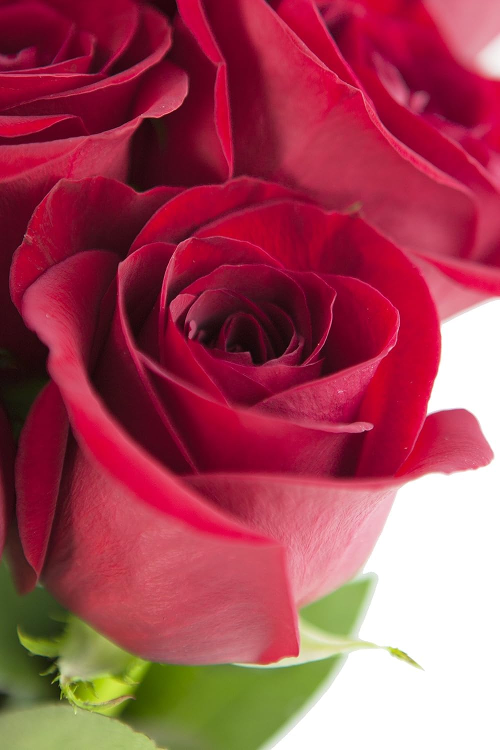 KaBloom Flowers - Mothers Day Collection - 12 Red Roses without vase  Gift for Birthday  Sympathy  Anniversary  Get Well  Thank You  Valentine  Mothers Day Fresh Flowers