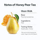 Osulloc Moon Walk Tea (Korean Pear Flavor) | Sweet Fruit Tea | 20 Pyramid Tea Bags, 1.76Oz