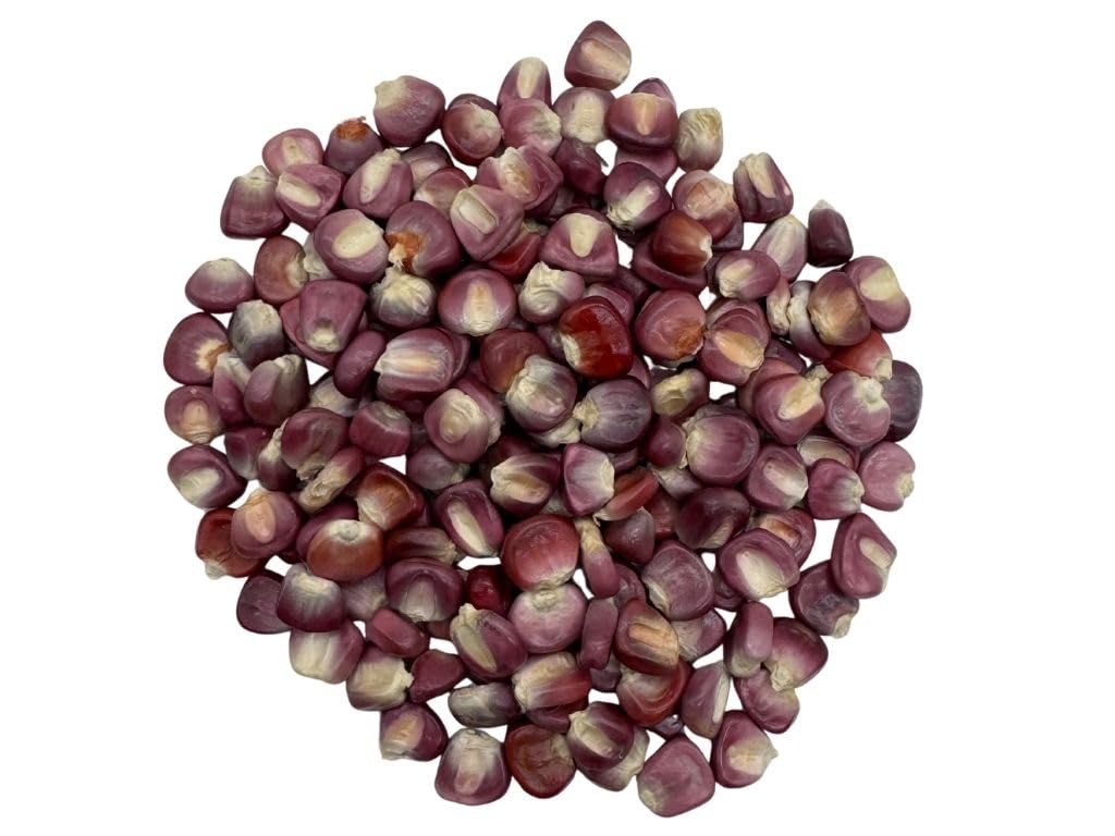 Top-High Standarduthentic Mexican Purple Hominy Corn (Ma?Z Pozolero Morado) - 15Lb.