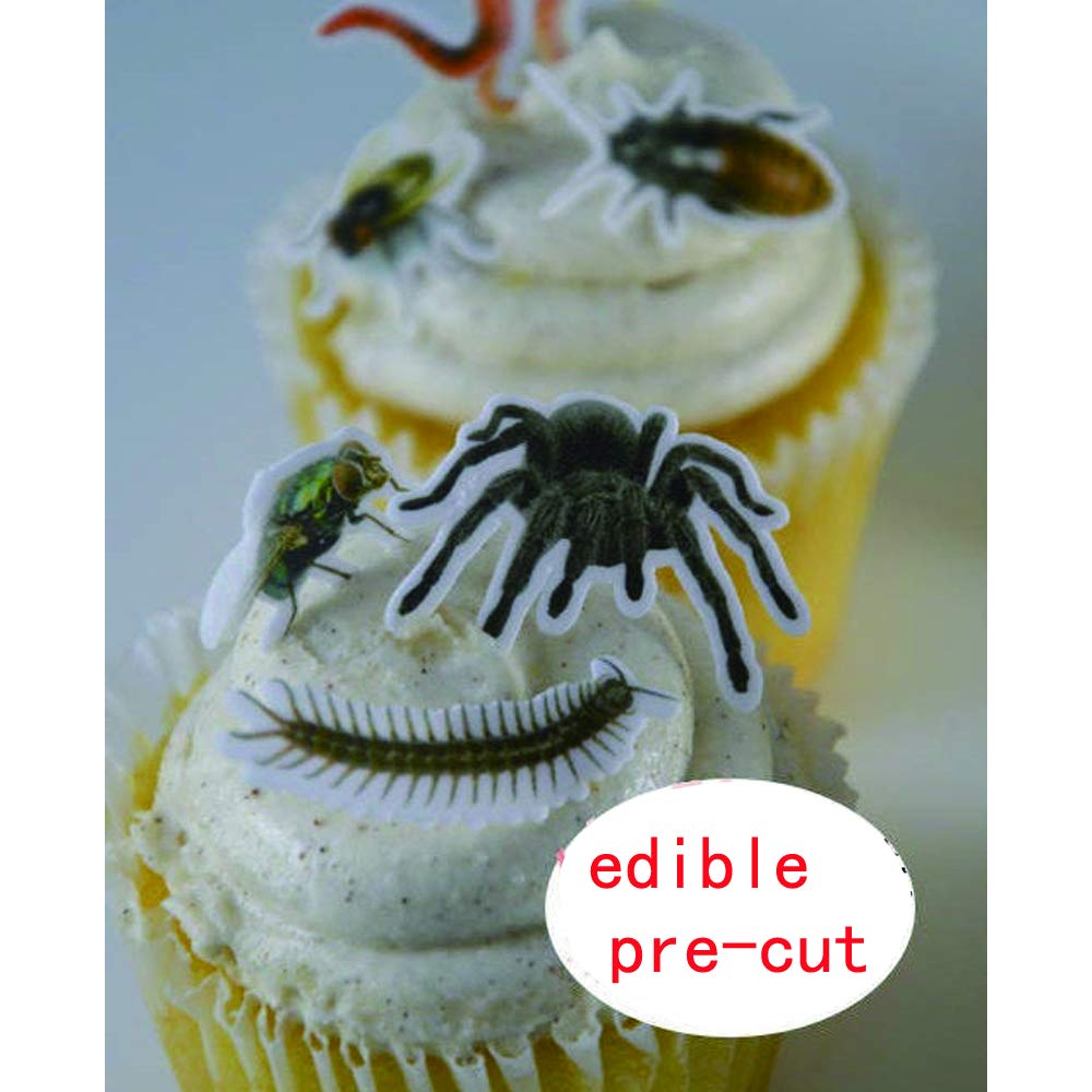 70X Edible Wafer Spider, Bug Cupcake Topper, Pre-Cut Funny Party Cake Decoration