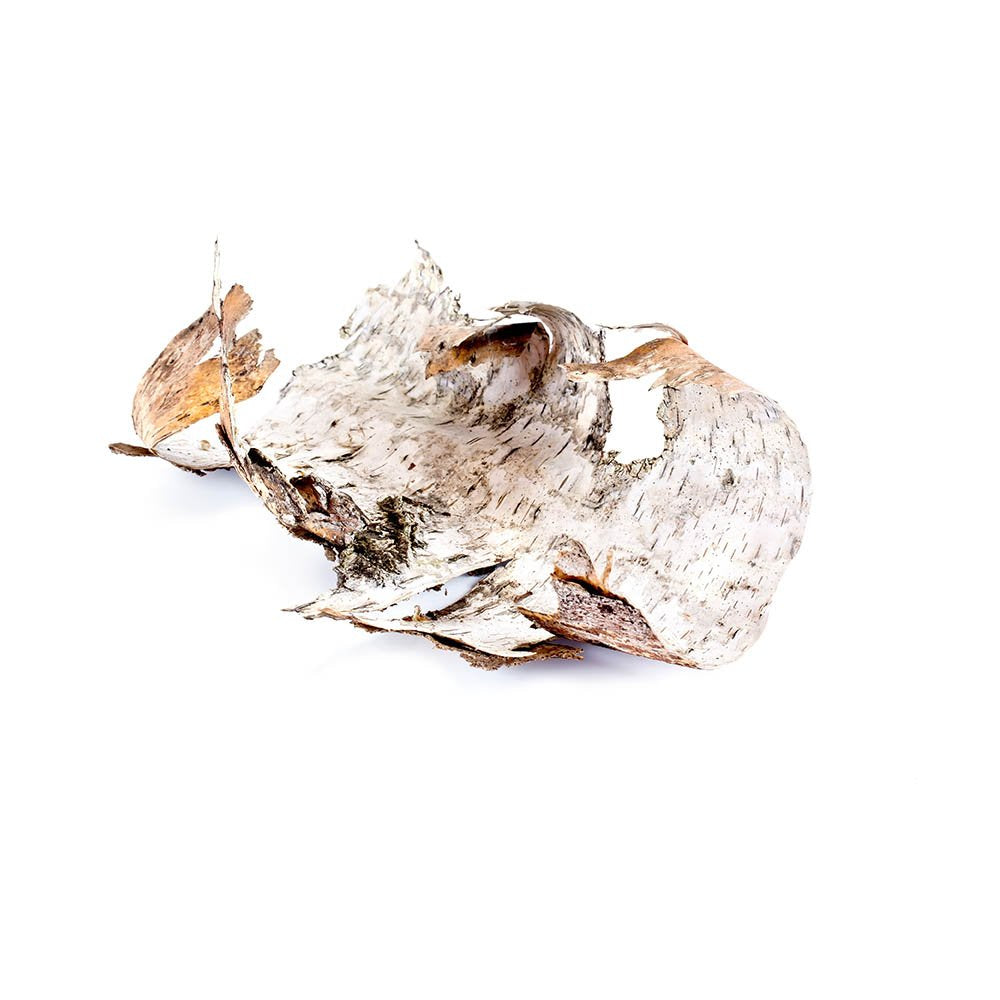 Biokoma Birch Bark Dried Cut Herbal Tea - 100g (3.55oz) Resealable Pouch, No Additives, No Preservatives, Kosher