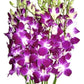 eflowerwholesale Premium Cut Orchids 10 Stems with Rhinestone Mesh Ribbon Vase Purple Model STONEV