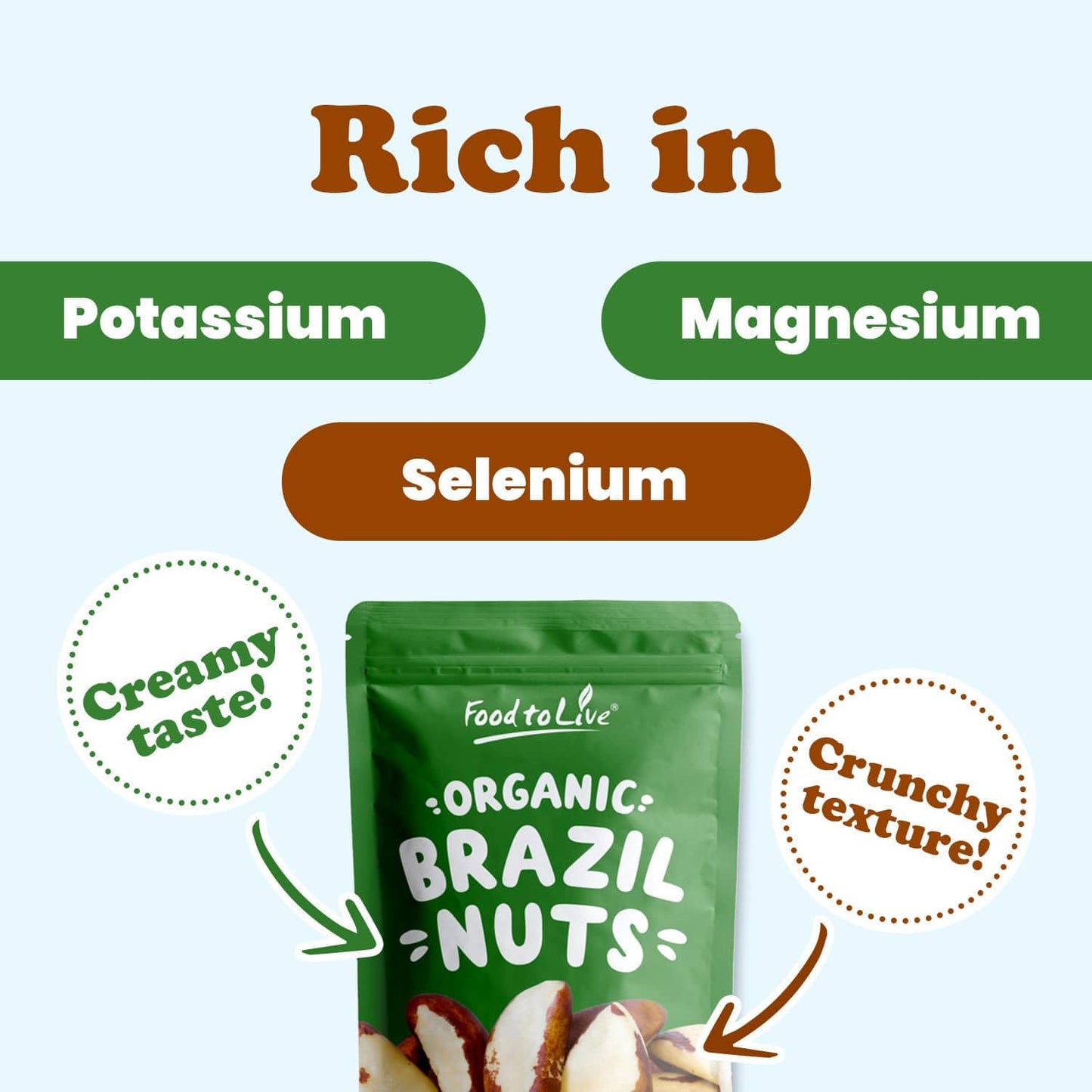 Food To Live - Organic Brazil Nuts, 4 Pounds – Non-Gmo, Raw, Whole, No Shell, Unsalted, Kosher, Vegan, Keto, Paleo Friendly, Bulk, Rich In Selenium