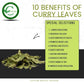 Ceylon Rustic Savour Dried Curry Leaves Organic 0.4 Oz Non-GMO Vegan Gluten Free Aromatic Flavor