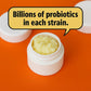 Milk Kefir Grains, Fresh Live Probiotic Culture for Homemade Kefir