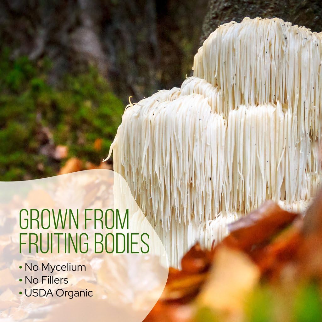 La Republica Lions Mane Mushroom Matcha Powder Grown with Full Fruiting Lions Mane Mushroom with No Fillers, USDA Organic, 60 Se