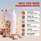 Ryze Mushroom Overnight Oats, Oatmeal With 6 Adaptogenic Mushrooms And 20G Grass-Fed Whey Protein & Chia Seeds, Turkey Tail, Shi